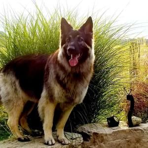 Meet your Posher, Kathy